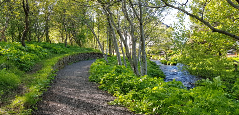 Skrudgardur Husavik Park